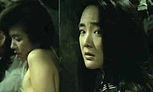 핫한 아시아 여자가 거친 구속 속에서 섹스하는 창녀로 사용되다